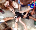 Οι μαθητές της Πάρου διδάσκονται την αγάπη για τα ζώα: Από τη θεωρία στην πράξη!